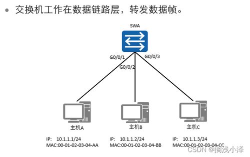 常見的網絡設備概述